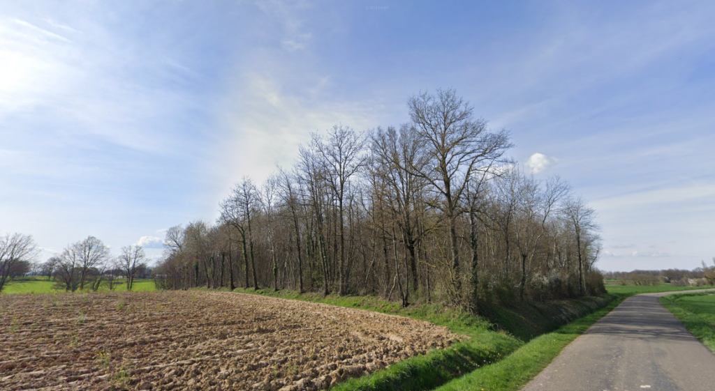 Vendue par MB Forêts Transactions terres+ bois dans l'Ain