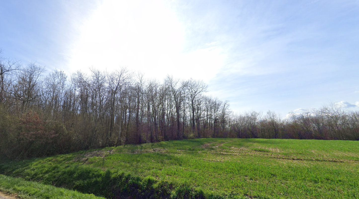 Matthieu Bouclet Forêts Transactions intervient lors de la vente des terres agricoles de blés et la vente de la forêt En région Auvergne-Rhône-Alpes
