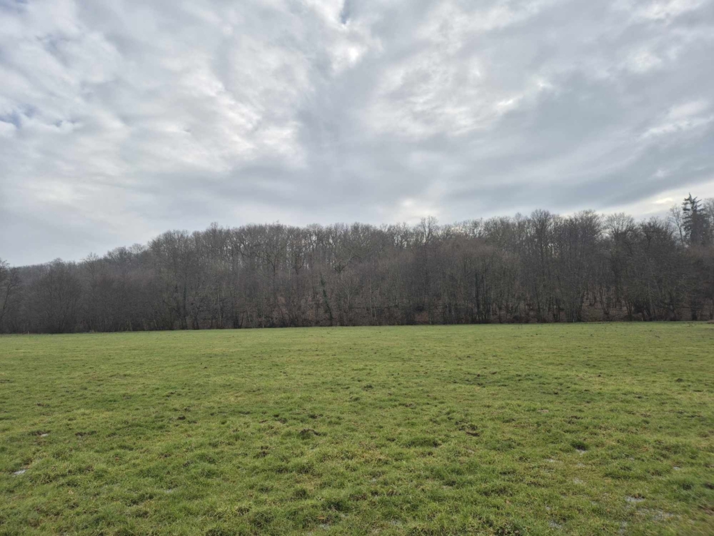Prix des terres en Bourgogne et le prix des forêts en augmentations selon spécialiste MB Forêts Transactions