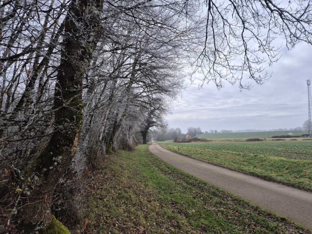 Les avantages de l'achat de forêts grâce à la défiscalisation avec MB Forêts Transactions