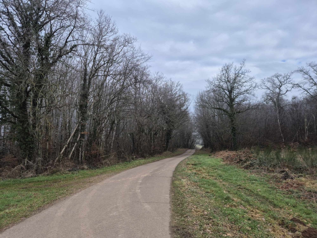 Desserte forestière en Bougogne un projet réalisé dans une forêt vendue par MB Forêts Transactions