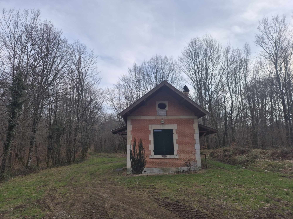 Une petite maison nichée au cœur des bois, entourée d'arbres verdoyants et d'une nature paisible.